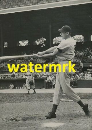 1941 Ted Williams Boston Red Sox Al Hof 8x10 Photo Vv^c