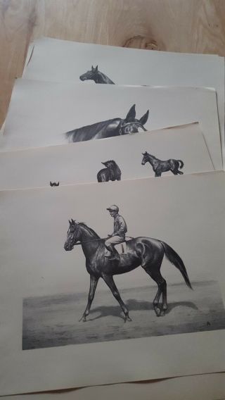 C W ANDERSON 1948 ALL THOROUGHBREDS Harper Litho Prints Complete Portfolio 6
