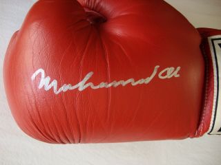 Muhammad Ali Signed Autographed Red Everlast Boxing Glove W/ Plus Frazier 2