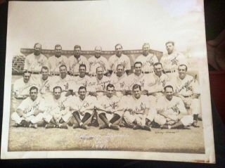 1941 Hollywood Baseball Club Photo 8x10