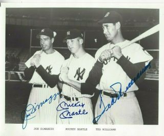 Joe Dimaggio,  Mickey Mantle,  Ted Williams Baseball Hof Autographed 8x10 Photo Psa