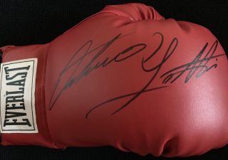 Arturo Thunder Gatti Signed Everlast Boxing Glove