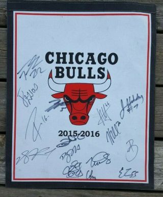 Chicago Bulls 2015 - 2016 Signed Felt Banner