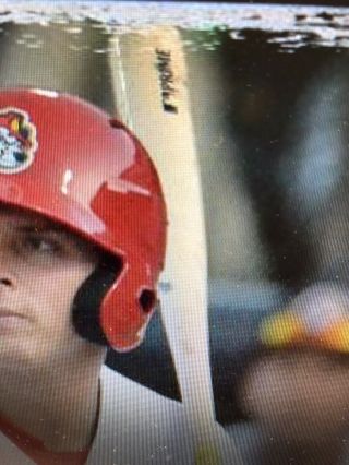 2019 Nolan Gorman Signed Game Cracked Bat St.  Louis Cardinals Top Prospect 8