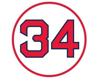 David Ortiz Sticker Retired 34 Boston Red Sox (3 - Inch Vinyl)