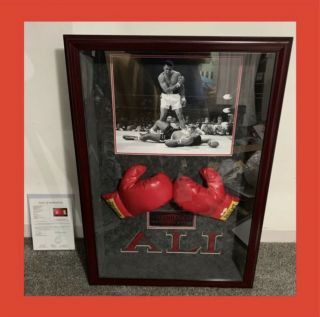 Muhammad Ali Signed Glove With Letter Of Authenticity Jsa And Huge Custom Frame