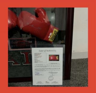 Muhammad Ali Signed Glove with Letter of Authenticity JSA and Huge Custom Frame 2