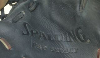 Roberto Alomar Professional Model Game Issued / Spalding Glove Blue Jays 8