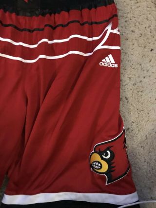 Louisville Cardinals Basketball Red W Black 16/17 Game Adidas Shorts 3
