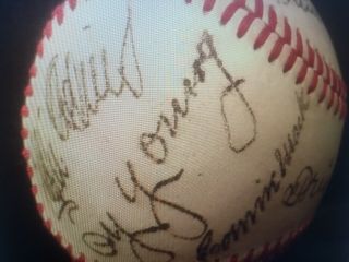 Babe Ruth,  Ty Cobb,  Honus Wagner,  Cy Young Baseball Signed - Estate /