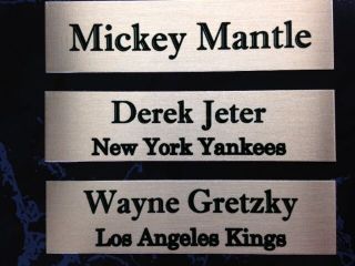 (12) Custom Made Name Plates For Baseball / Hockey Puck Display Cases