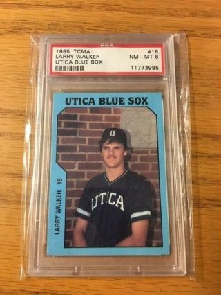 1985 Larry Walker Tcma Utica Blue Sox Baseball Card - 16 - Psa Graded 8 Nm - Mt