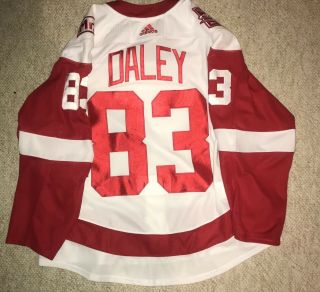 2017 - 18 DETROIT RED WINGS GAME WORN JERSEY DALEY 2 PATCH 14,  REPAIRS TEAM LOA 2