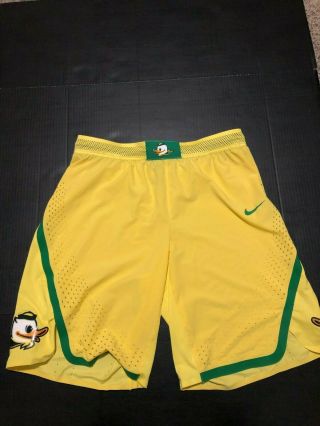 Nike Oregon Ducks Basketball Team Issued Dri - Fit Shorts Men 