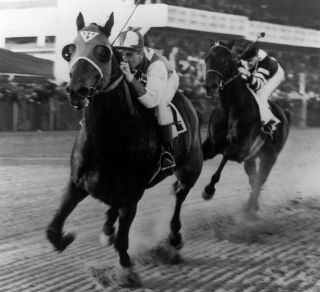 1938 Seabiscuit War Admiral Pimlico Race Track Horse Racing 8x10 Photo Hot Champ