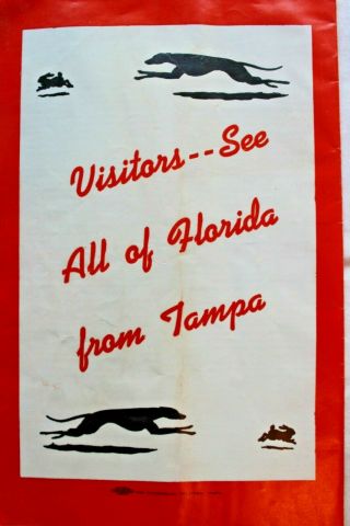 Vintage 1954 - 55 Greyhound Racing Official Program Tampa Track 2