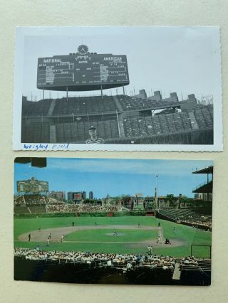 (2) 8/5/53 Chicago Wrigley Field 3 1/2 " X 6 " Photos & Wrigley Vintage Postcard.