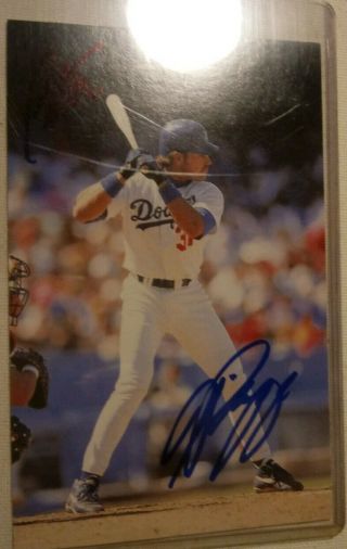 Mike Piazza Signed Postcard Los Angeles Dodgers Team Postcard Baseball Mlb