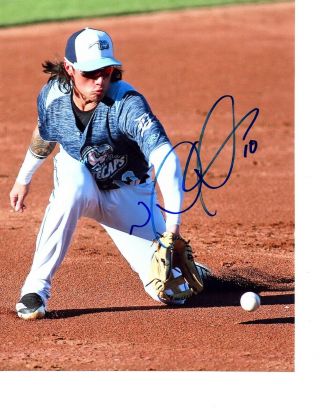 Nick Quintana Detroit Tigers Autographed Signed 8x10 Baseball Photo Arizona