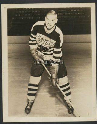 Paul Ronty 1946 - 47 Hershey Bears Team Issue Vintage Nhl Hockey Press Photo
