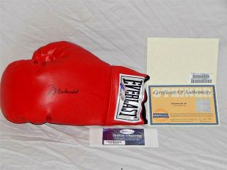 Muhammad Ali Signed Everlast Boxing Glove Steiner Online Authentics Oa - 7604652