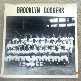 1955 Brooklyn Dodgers Team Picture / Photo - - 12 " X12 "
