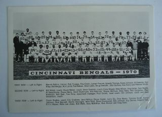 1970 Cincinnati Bengals Team Photo Postcard Nfl Football
