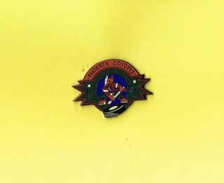 1996/97 Phoenix Coyotes Hockey Nhl Inaugural Season Lapel Hat Pin