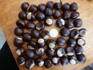 :) 50 Buckeye Nuts Quarter Size 2018 Crop For Crafts Decorations Ready To Use