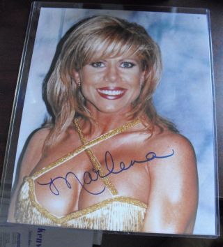 Wwf Wwe Wrestling Diva Marlena Signed 8x10 Photograph Look