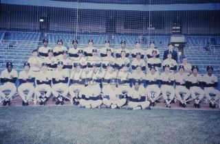 1977 Topps Baseball Color Negative.  Yankees