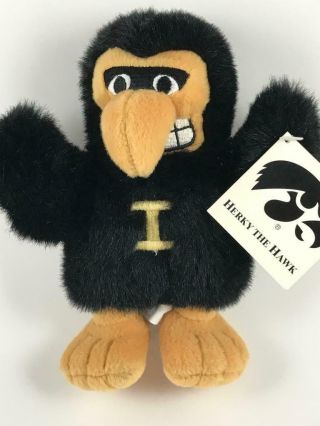 Vintage University of Iowa Herky the Hawk Mascot 5
