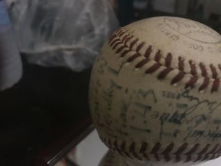 Sandy Koufax perfect game/ no hitter game ball 9/9/65. 9