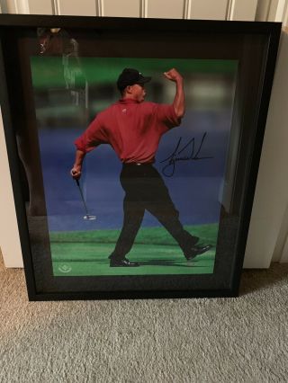 Tiger Woods Autographed Hand Signed 16x20 " Fist Pump " Photo Uda Framed