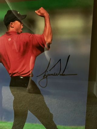 TIGER WOODS Autographed Hand Signed 16x20 