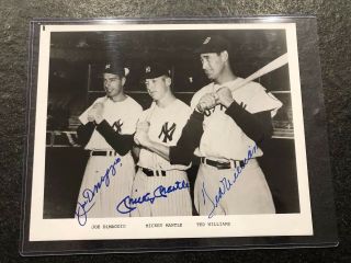 Joe Dimaggio Mickey Mantle Ted Williams Baseball Hof Autographed 8x10 Photo Jsa