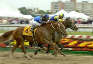 2007 Robby Albarado Curlin Preakness Stakes Horse Racing 8x10 Photo Street Sense