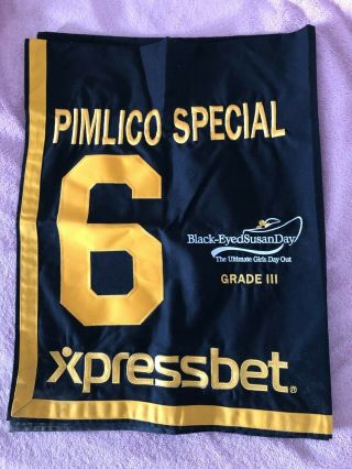 Shaman Ghost Winning Pimlico Special Saddle Cloth