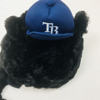 Tampa Bay Rays DJ Kitty Hat MLB Plush Hat SGA One Size Baseball Fan 4