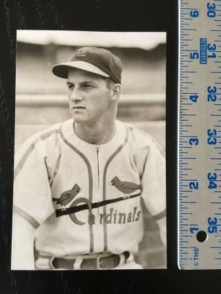 1940s - 60s Vintage St.  Louis Cardinals Stan Musial Photo Postcard 21919