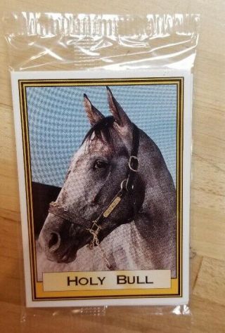 1995 Horse Star Cards Holy Bull 10 Card Set Racing Daily Form 100th Anniv