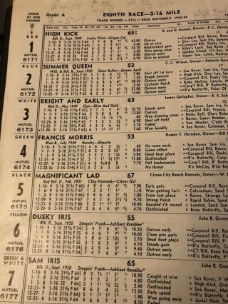 Vintage Tampa Greyhound Program 1952/53 Meet 3