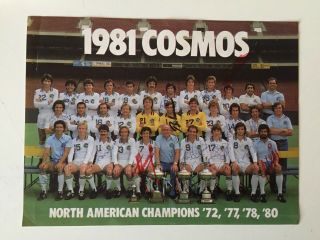 17 Handsigned Autographs Cosmos York 1981 Official Weisweiler/chinaglia