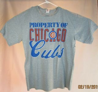 Vtg Chicago Cubs Logo 7 Single Stitch Gray Mens Large T - Shirt Mlb Baseball