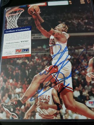 Bulls Dennis Rodman Authentic Signed 8x10 Photo Vs Pacers Auto Psa/dna,  Card