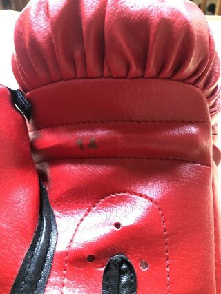 Muhammad Ali Signed Full Size Everlast Boxing Glove With Display Case & 5