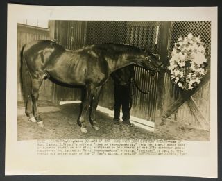 1947 Man O War Wire Photo The Greatest Race Horse Celebrates His Birthday