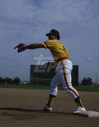 1984 Topps Baseball Color Negative.  Steve Garvey Padres