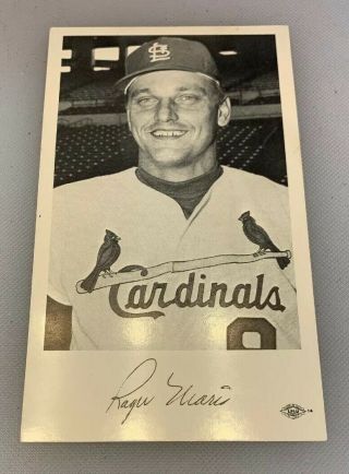 1968 St.  Louis Cardinals Roger Maris Baseball Team Issue Postcard Lpiu Post Card