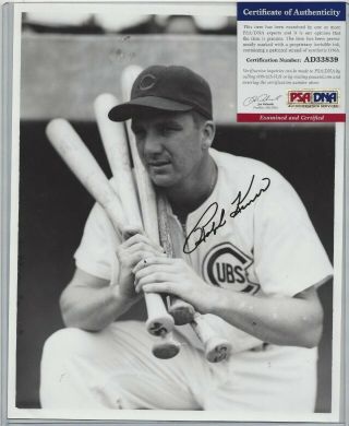Ralph Kiner Autographed Chicago Cubs Baseball Hofer 8x10 Brace Photo Psa